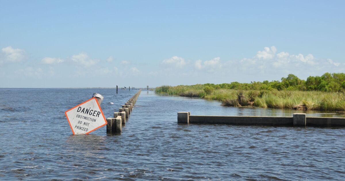 what-is-wetland-mitigation