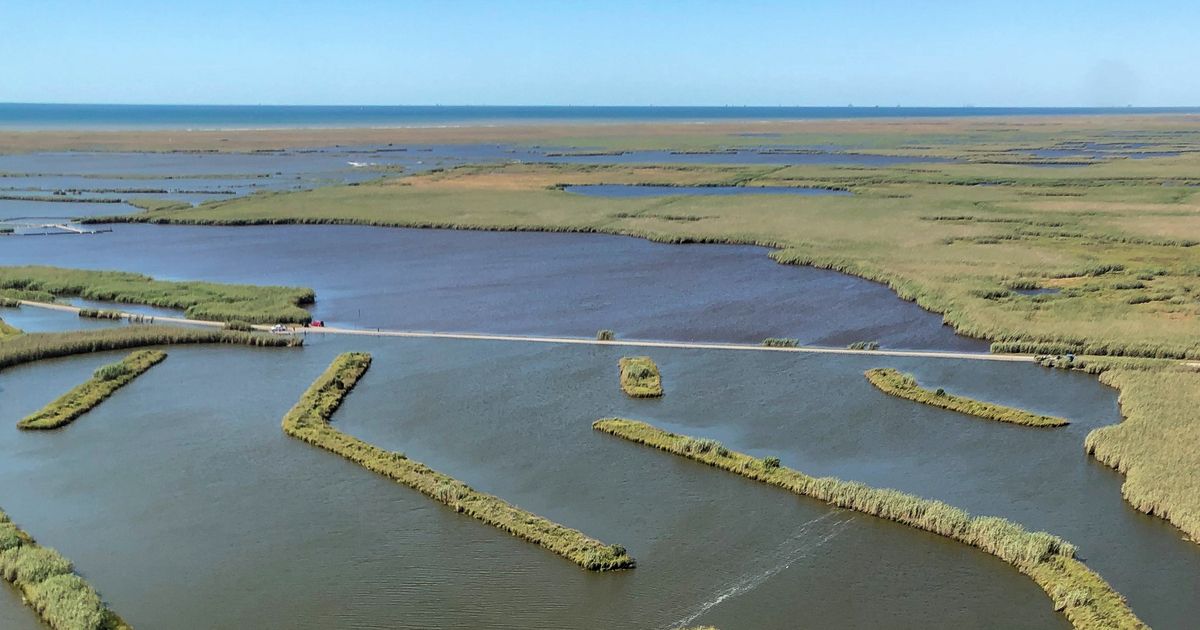 How Much Does Wetland Mitigation Cost? See How Prices Vary