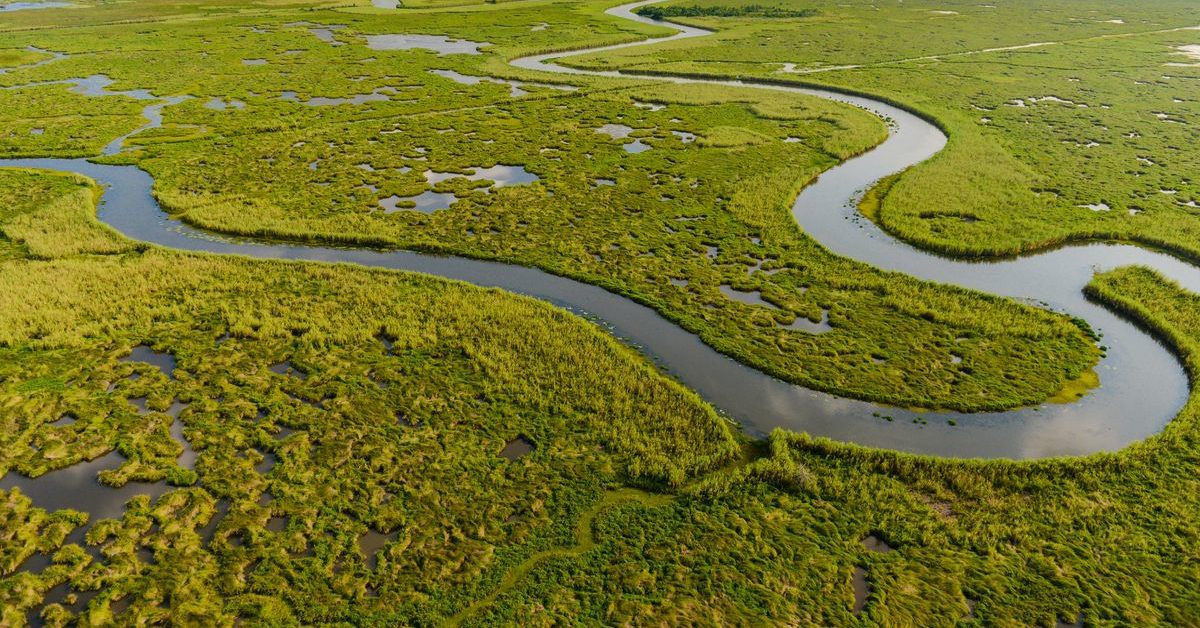 Southwest Louisiana wetlands
