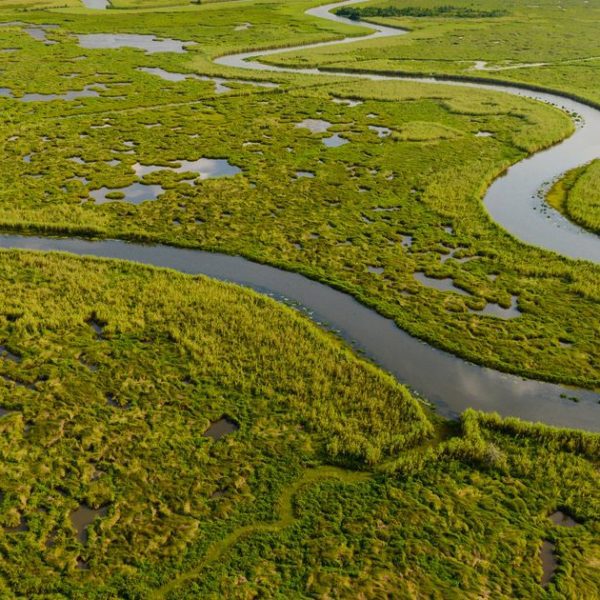 when-is-wetland-mitigation-required-three-step-rule-explained