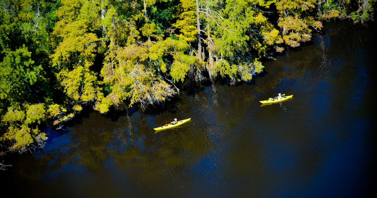 wetland-mitigation-laws-how-do-they-differ-by-state-2022-update