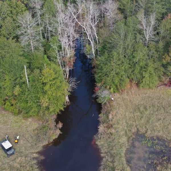 Can You Build On Wetlands Your Guide For 2023 Can you build on wetlands your guide for 2023